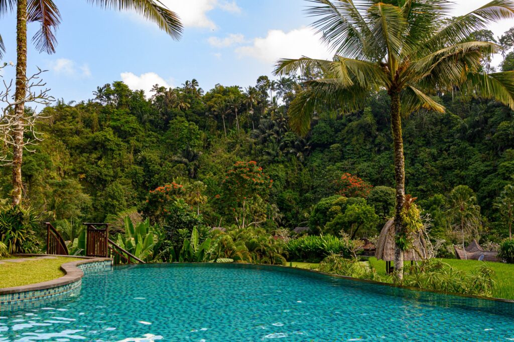 棚田と谷を望むメインプール
